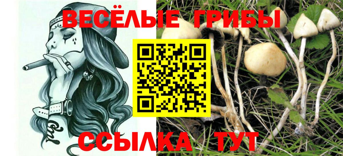 Псилоцибиновые грибы прущие грибы Чапаевск